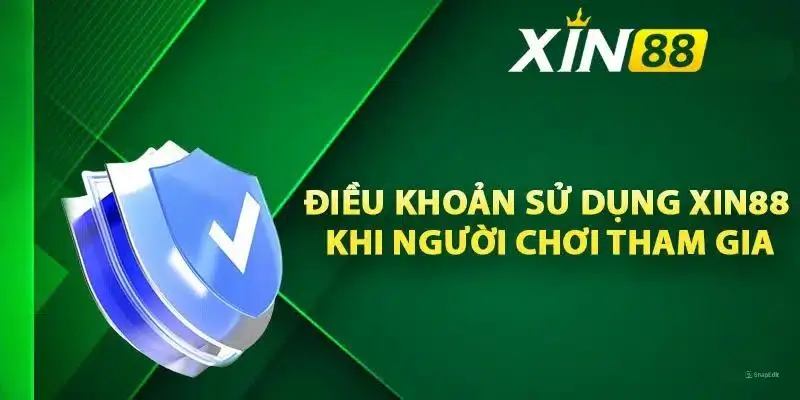 Tại Sao Điều Khoản Sử Dụng Xin88 Được Xây Dựng?